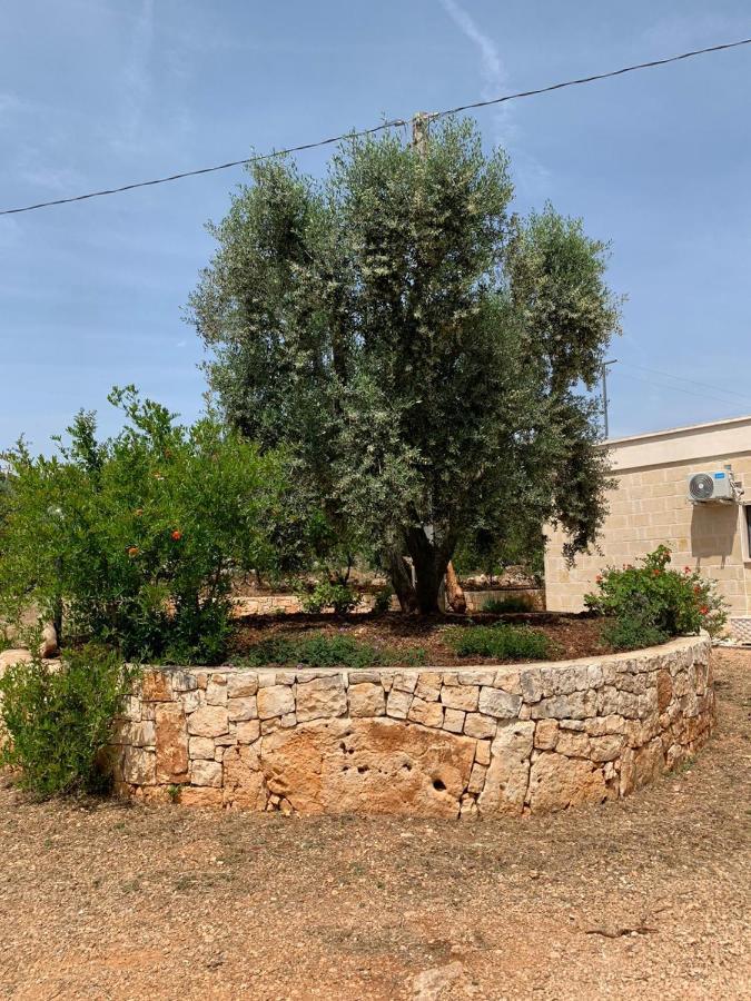 Il Trullo Di Francesca Vila Ceglie Messapica Exterior foto